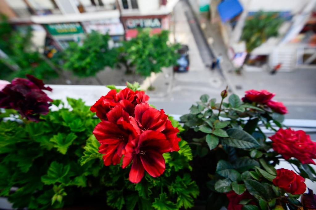 Fotografie z fotogalerie ubytování Hotel Niku v destinaci Tirana