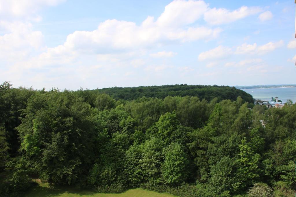 Příroda nedaleko apartmánu