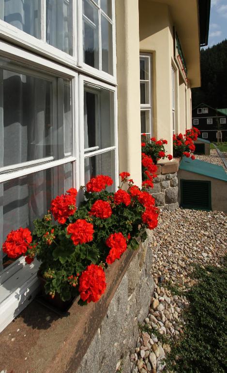 Zahrada ubytování Hotel Hořec