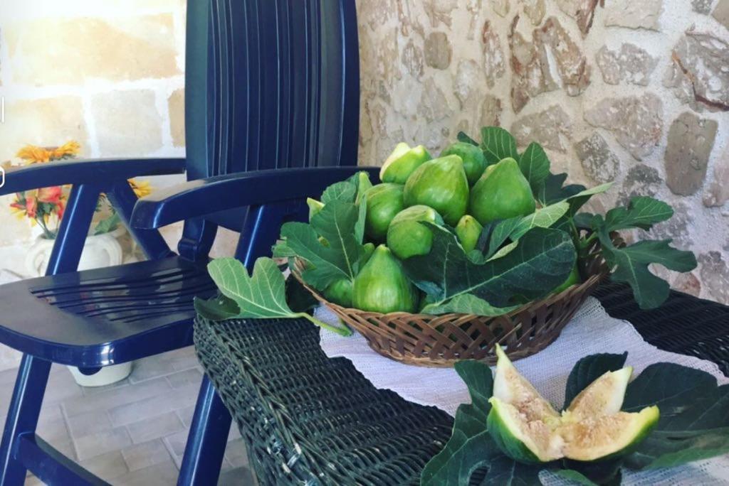 B&b nella Tenuta Nonno Carmine - foto 29