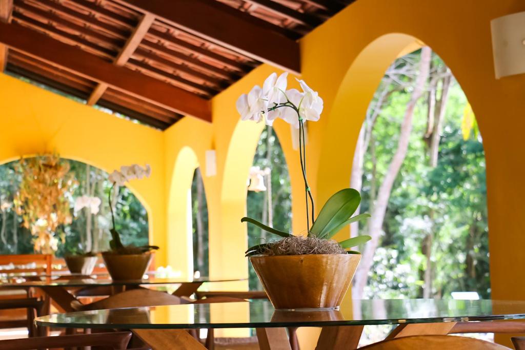  Hotel Capim Limão Itaipava