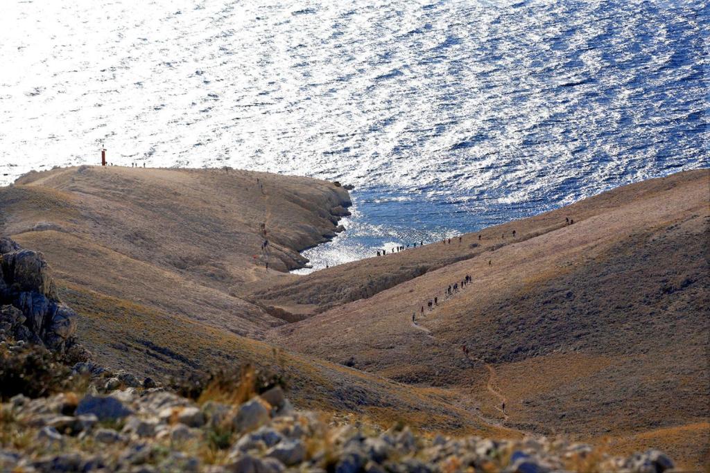 a group of people walking on a hill next to the ocean at Apartments Niko Metajna, island Pag in Metajna
