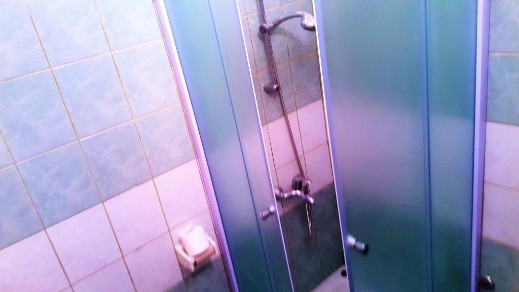 a bathroom with a shower stall with a toilet paper dispenser at Apartments Niko Metajna, island Pag in Metajna