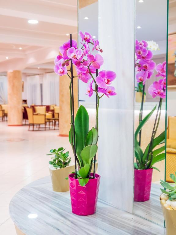 Fotografie z fotogalerie ubytování CNic Gemini Hotel v destinaci Mesongi