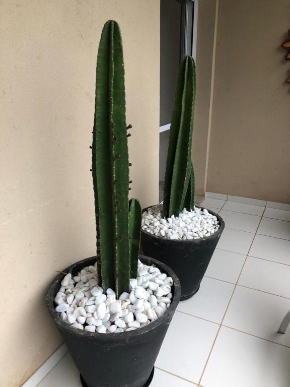  Apto Luxo Condomínio L 23 Ubatuba