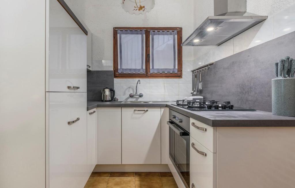 Kuchyň nebo kuchyňský kout v ubytování Apartments Rakovac