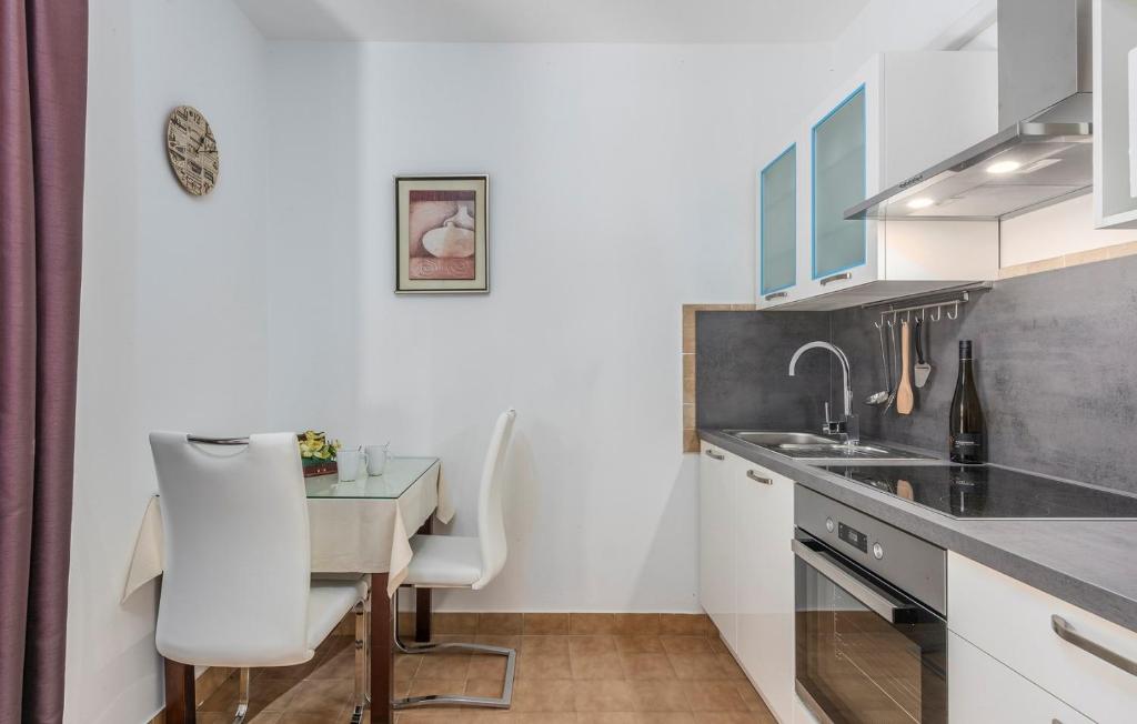 Kuchyň nebo kuchyňský kout v ubytování Apartments Rakovac
