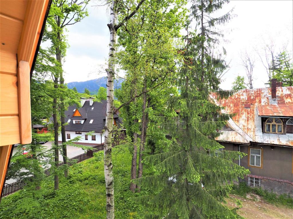 Príroda v okolí apartmánu