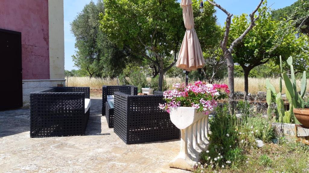 Casa alle vigne - Holiday Home