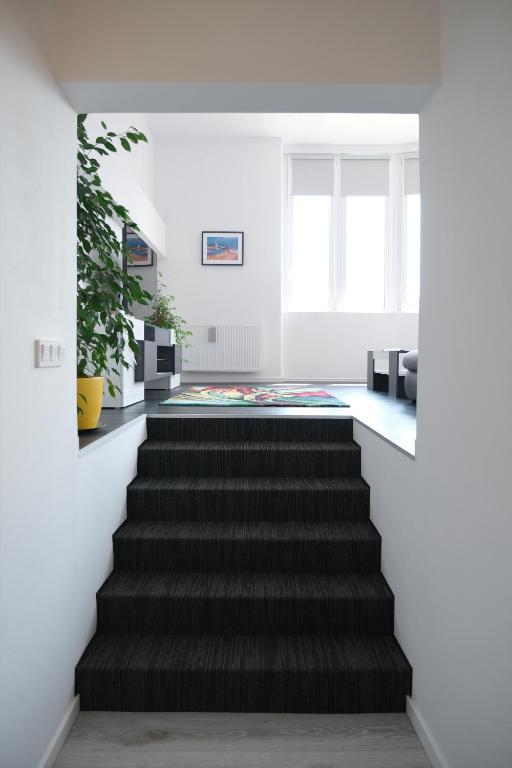 Main Square Oval Apartment - 11