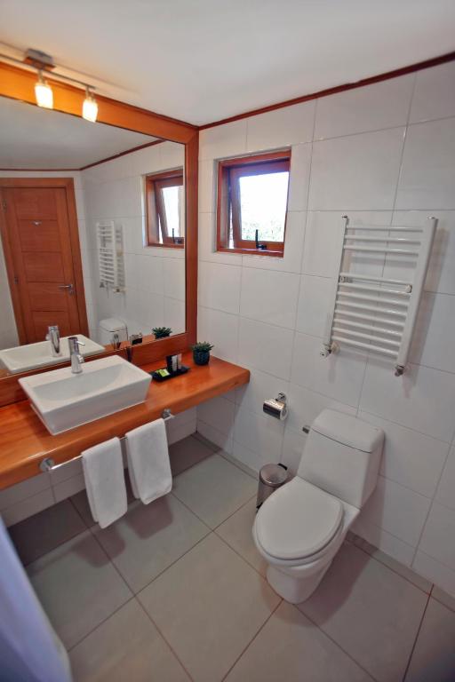 un baño con inodoro y lavabo en Hotel Puelche, en Puerto Varas