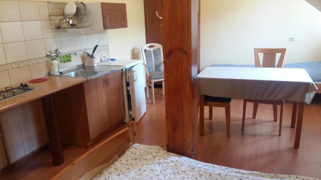 Kuchyňa alebo kuchynka v ubytovaní Agroturystyka Pod Klonem