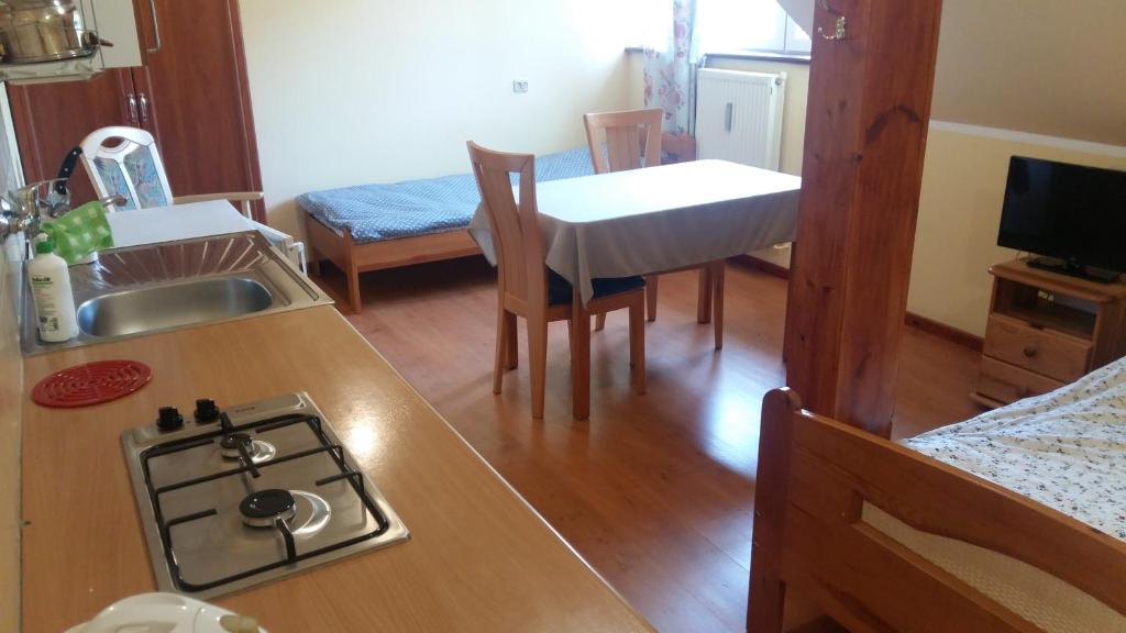 Kuchyňa alebo kuchynka v ubytovaní Agroturystyka Pod Klonem