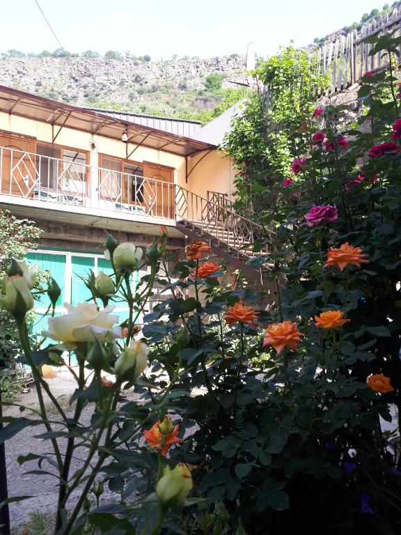 Zahrada ubytování IRIS B&B in DEBED CANYON