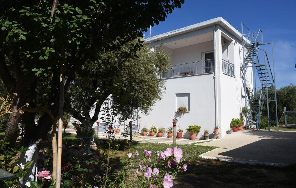 Budova, kde se apartmán nachází