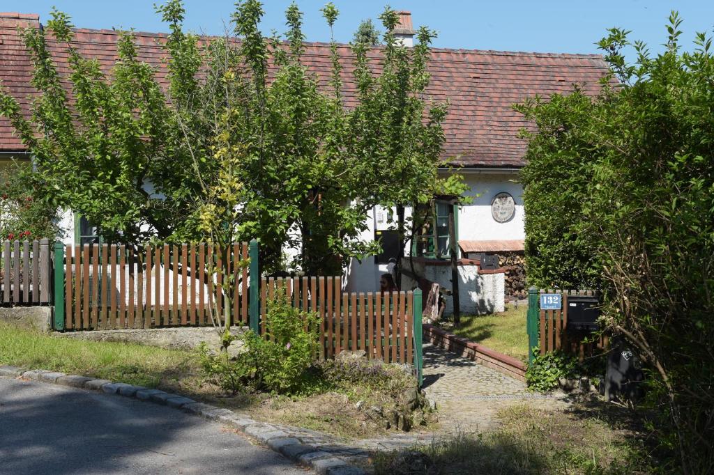 Vonkajšia záhrada v ubytovaní Landhaus Nitsch Appartement - Gästehaus Nitsch Appartement