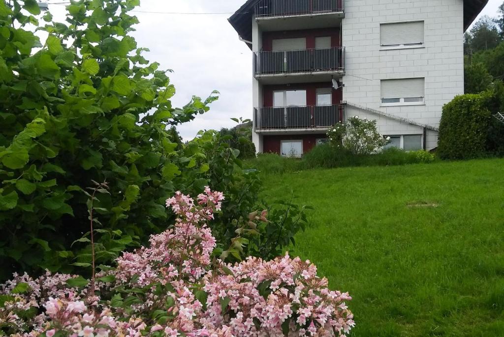 einen rosa Blumenstrauch vor einem Gebäude in der Unterkunft Ferienwohnung Am Eichbühl in Waldkirch