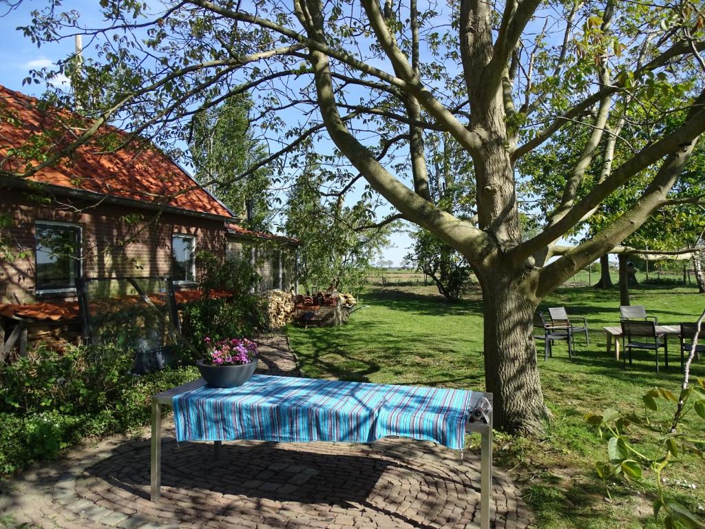 a table with a blue blanket sitting next to a tree at Roer, huisje aan de Maas in Maren-Kessel