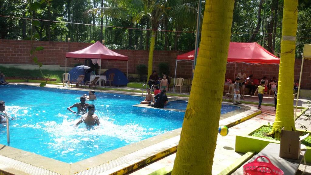 a group of people playing in a swimming pool at coorg camping tent stay in Suntikoppa