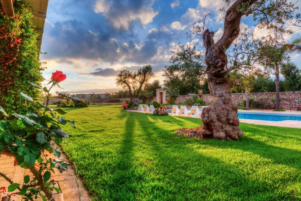 Masseria Sorani -  a Manduria - foto 5