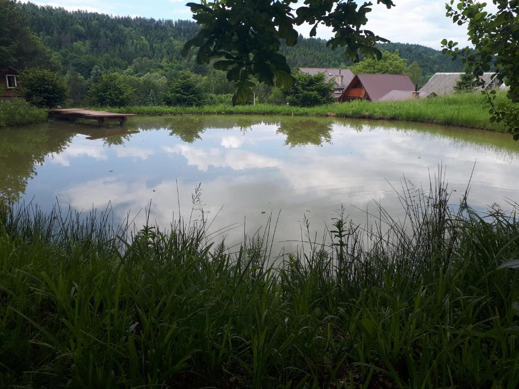 Příroda nedaleko chaty