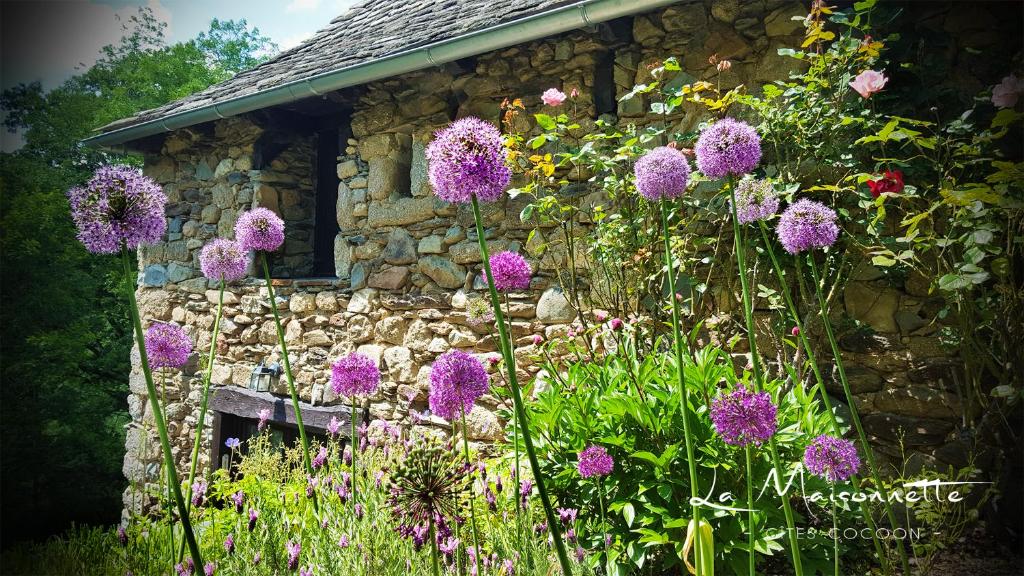 アントエギュ・シュル・トリュイエールにあるLa Maisonnetteの紫色の花々が咲く石造りの建物の前の庭園