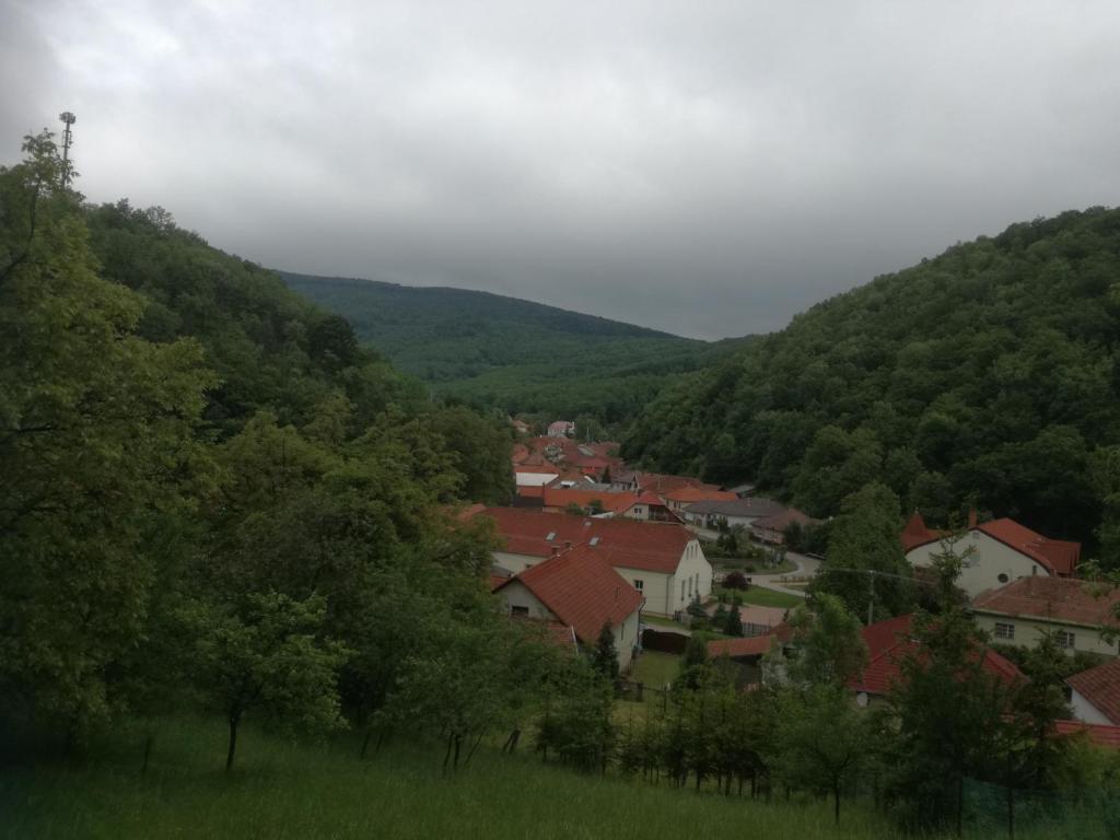 Příroda nedaleko prázdninového domu