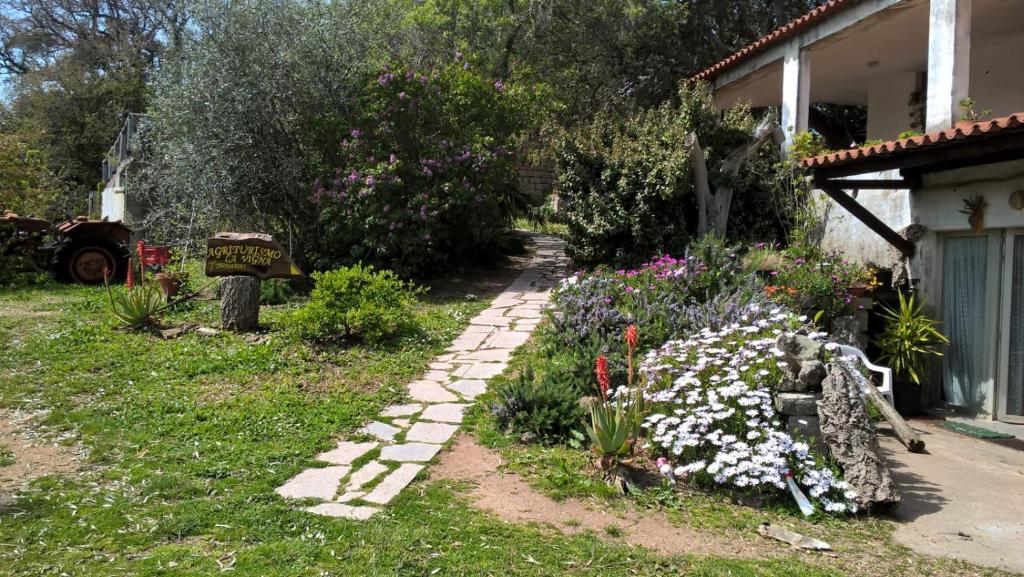 Zahrada ubytování Agriturismo La Vigna