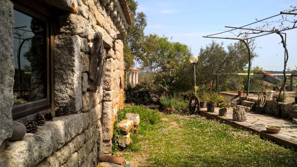 Zahrada ubytování Agriturismo La Vigna