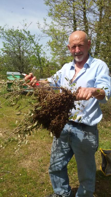 Hosté ubytování Agriturismo La Vigna