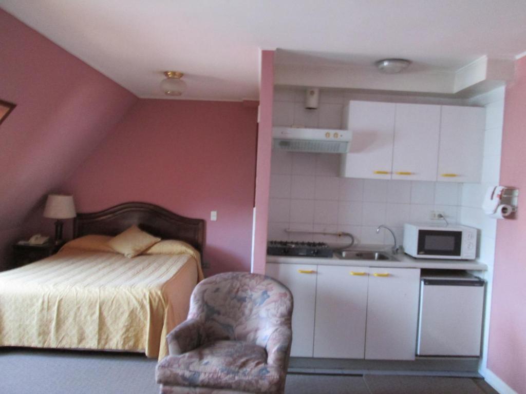 Kuchyň nebo kuchyňský kout v ubytování Hotel Apart Colón