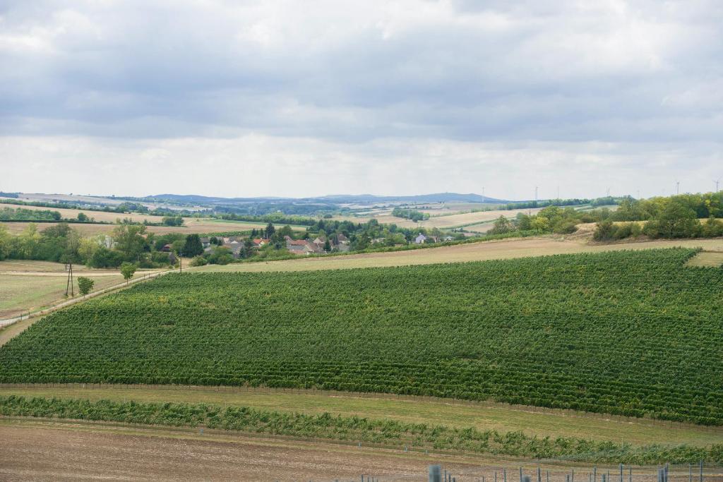 Príroda v okolí apartmánu