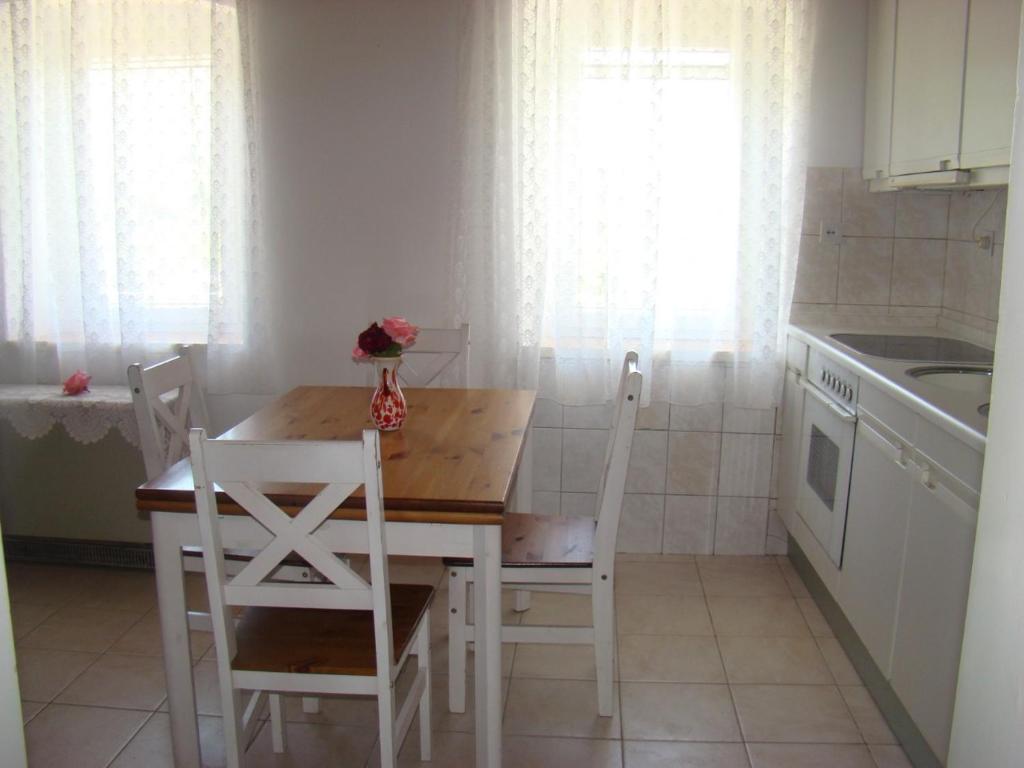 Kuchyň nebo kuchyňský kout v ubytování Stone house Zgogo