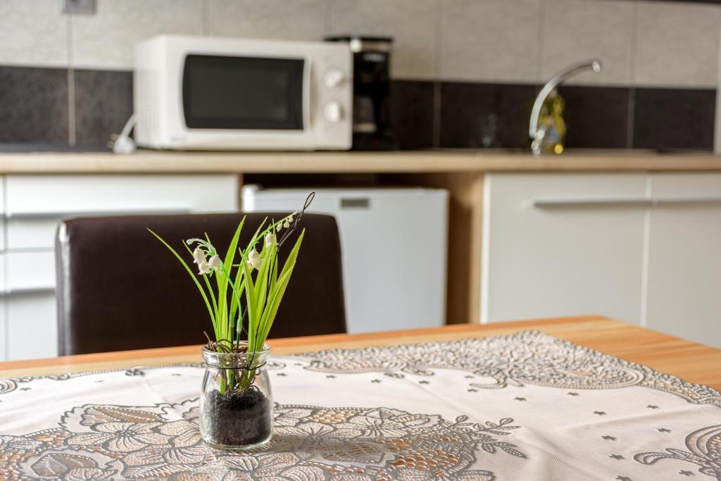 Apartmaji SLATENIK - Appartement Avec Vue Sur La Montagne