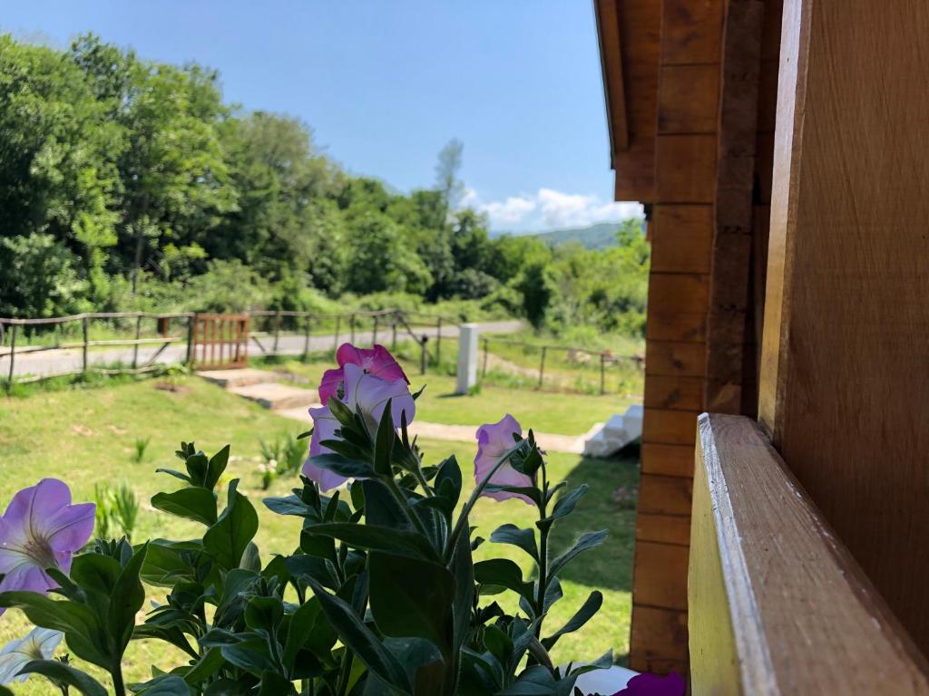 Zahrada ubytování Orahovo Cottages