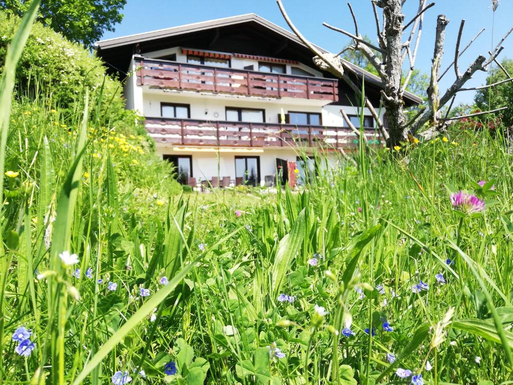 une maison au milieu d'un champ de fleurs dans l'établissement Ferienwohnung Tschengla mit eigener Sonnenterrasse - Wiese - Wlan - Netflix, à Bürserberg