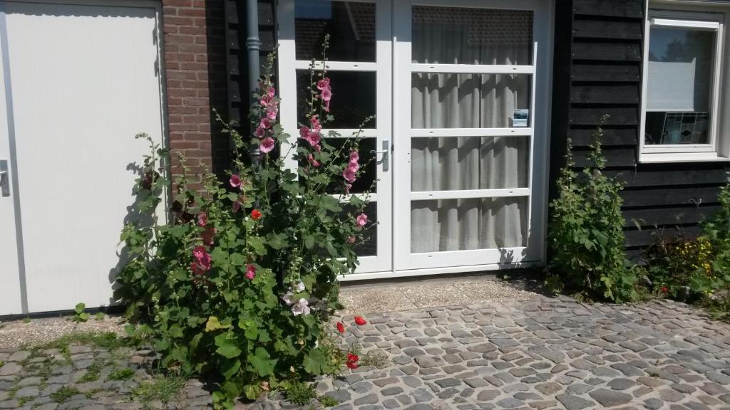 Studio Zilt - Studio Apartment