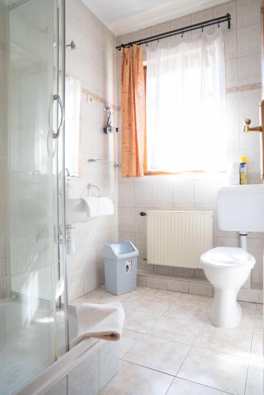 Hotel Szent István - Resim 14