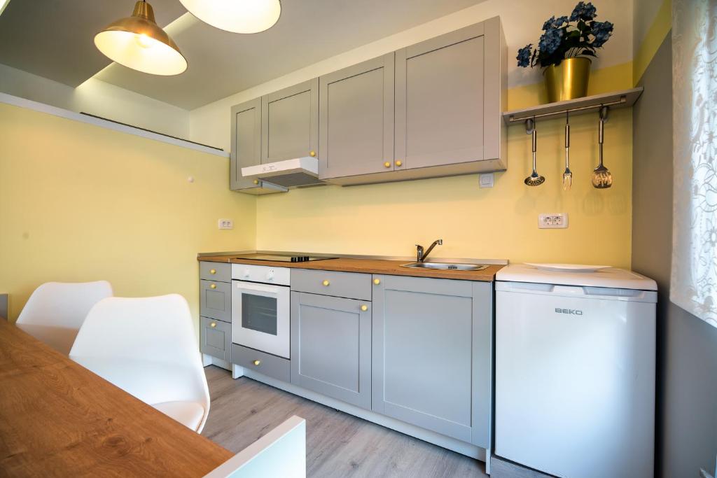 Apartments Stankovo - Studio