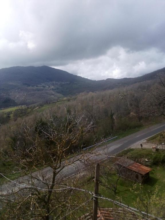 Príroda v okolí apartmánu