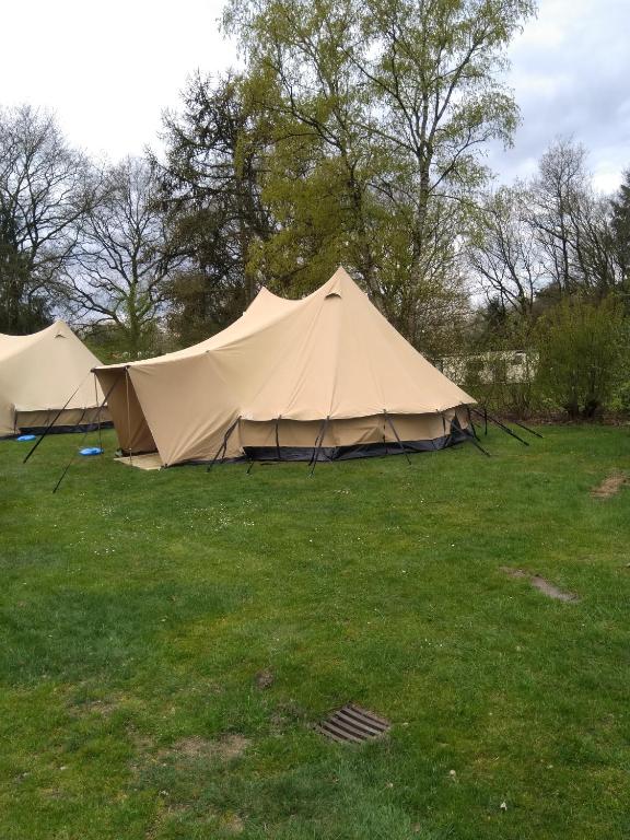two tents in a field with trees in the background at Tent-Ok Meppen in Meppen