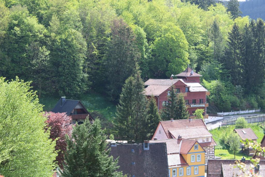 Příroda nedaleko penzionu