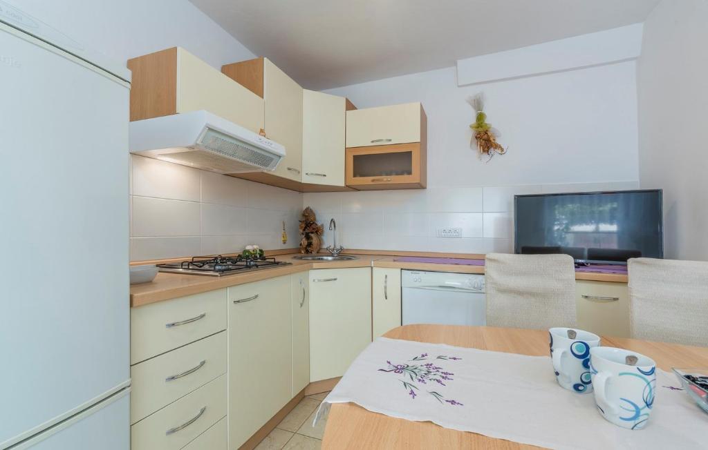 Kuchyň nebo kuchyňský kout v ubytování Apartment Complex Blazevic
