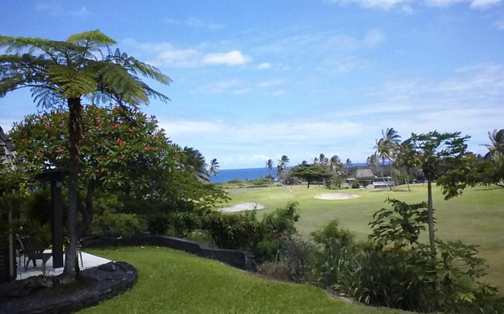 a golf course with a palm tree and a green at Mauna Kai'iki in Pahala