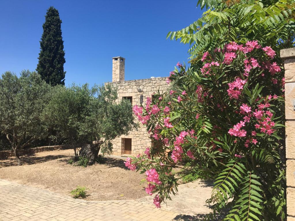 uma casa de pedra com flores cor-de-rosa à frente. em PYRGOS RALLI ESTATE Apartments and Suites em Egina
