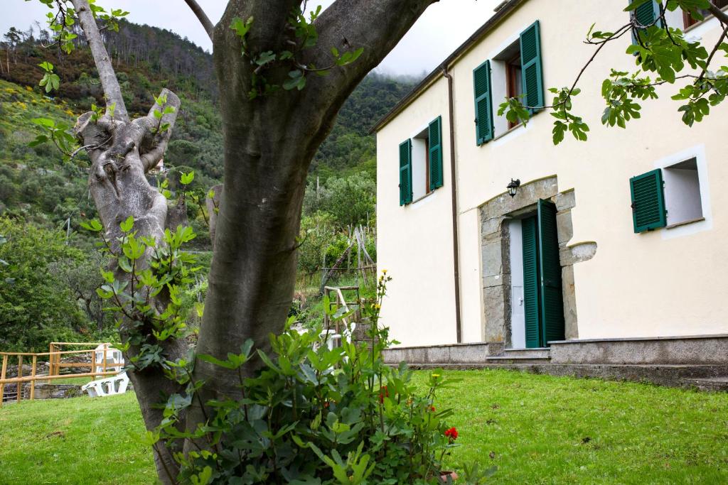 Zahrada ubytování Casa Vacanze Tra Le Mura