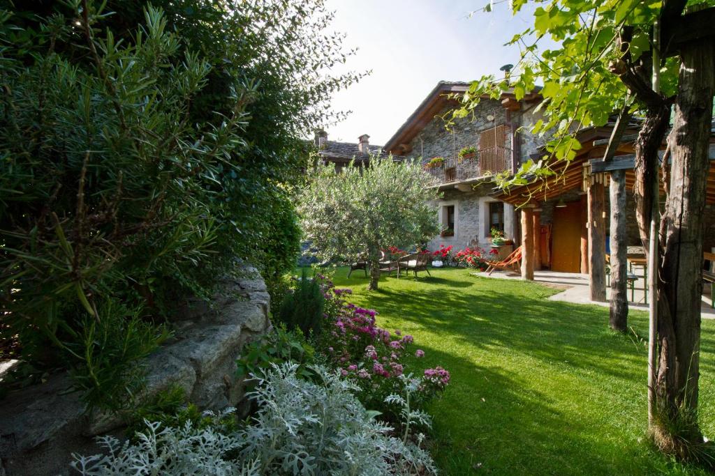 Zahrada ubytování La Maison Des Vignerons Chambres D'Hotes B&B