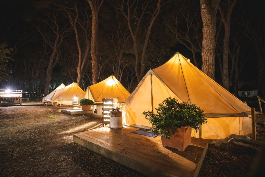 Φωτογραφία από το άλμπουμ του Pigna Felice Le Marze σε Marina di Grosseto