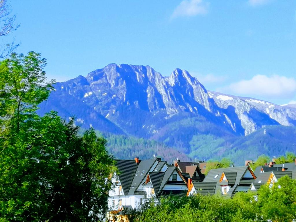 Apartamenty "Podwika" rodzinne z widokiem na góry - Zakopane - 4