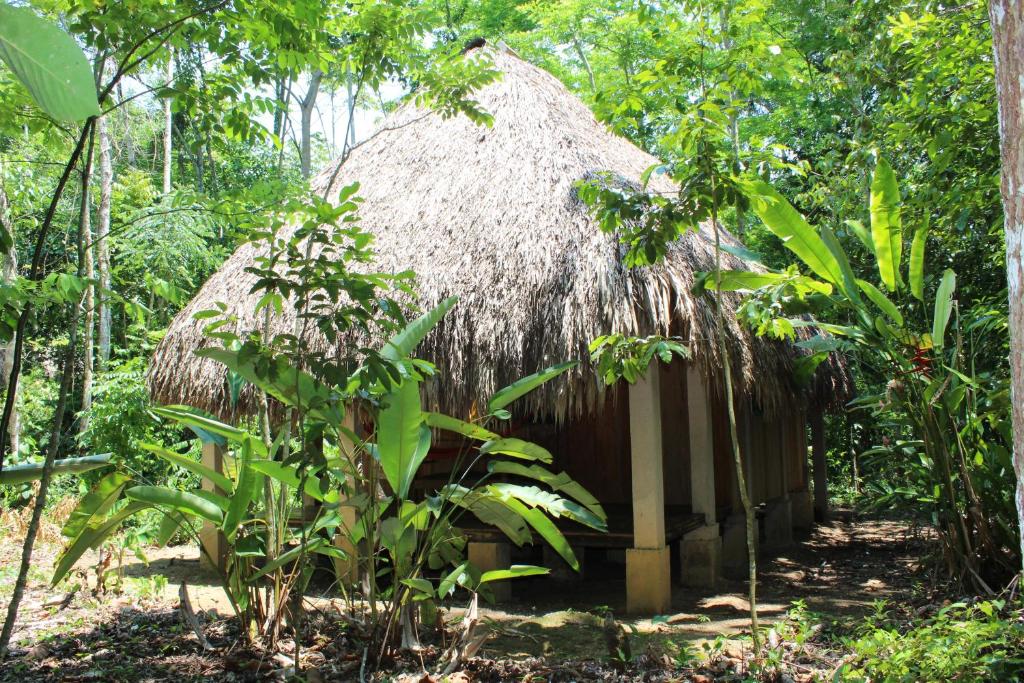 Zahrada ubytování Topche, Centro Ecoturístico